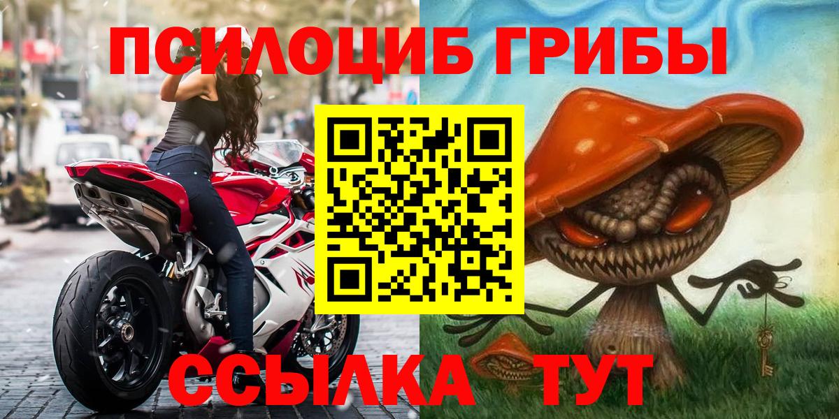 Галлюциногенные грибы GOLDEN TEACHER Камышлов