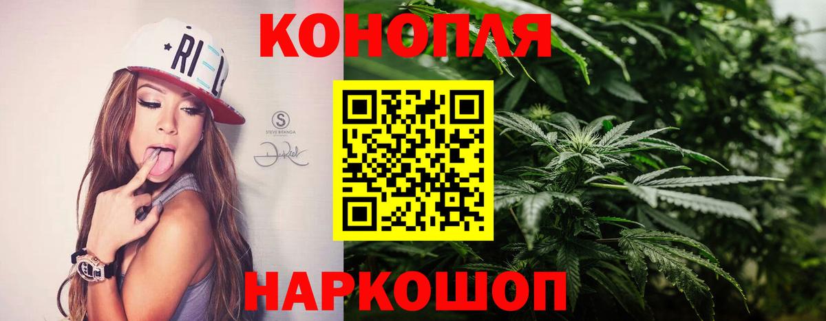Конопля гибрид Камышлов